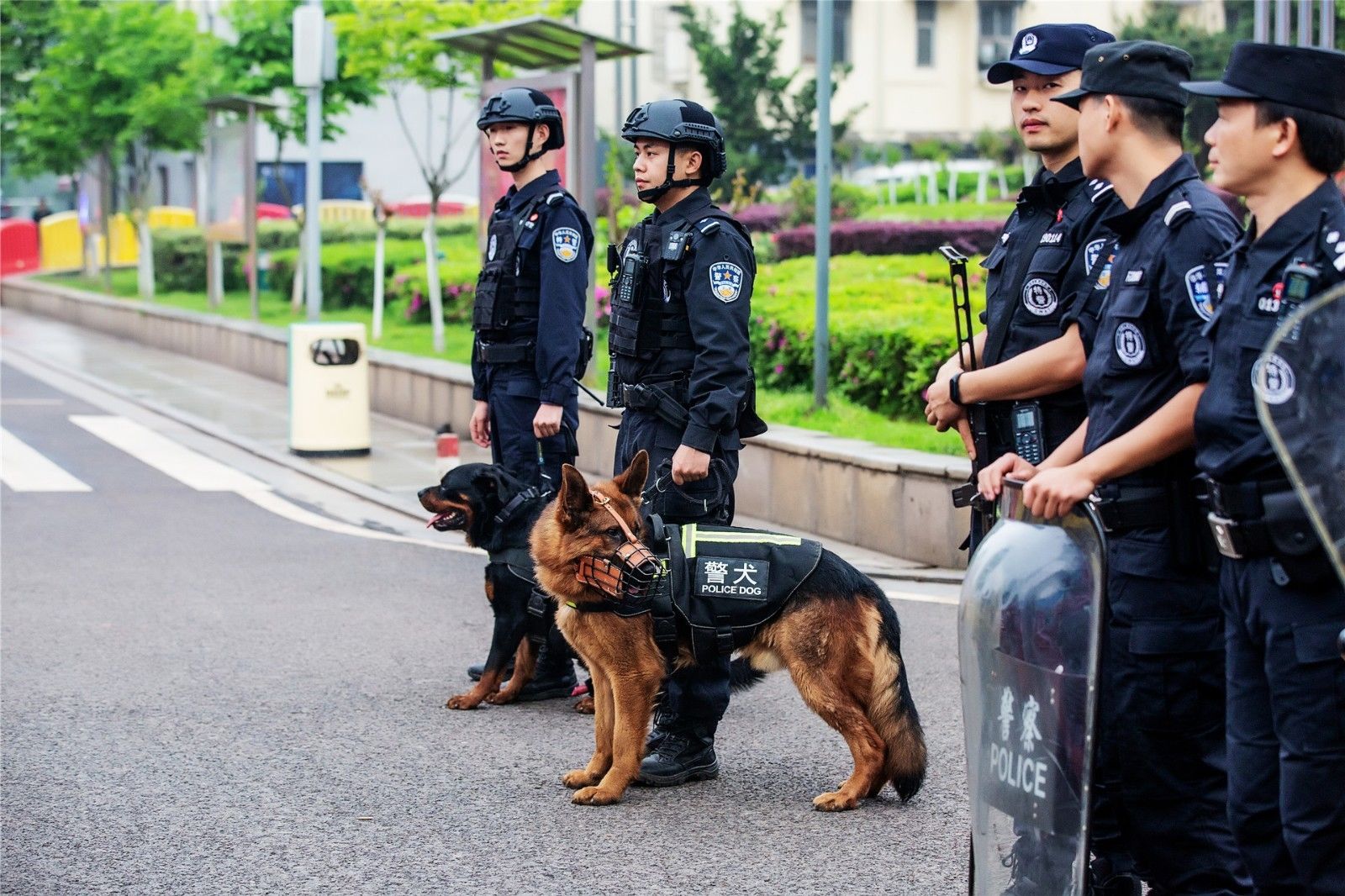 湖南FUN88体育管理有限公司