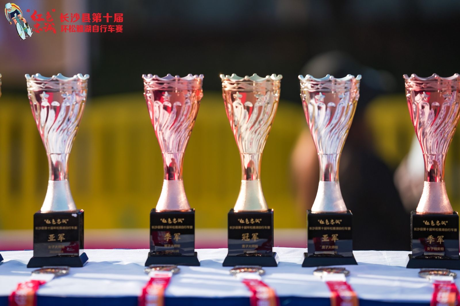 湖南FUN88体育管理有限公司